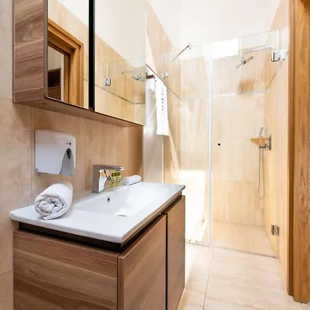 מלון Botrytis Borhotel 4*