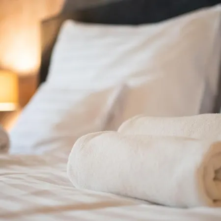 Botrytis Borhotel Mád