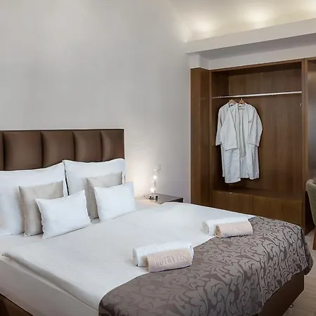 Botrytis Borhotel Hotel Mad
