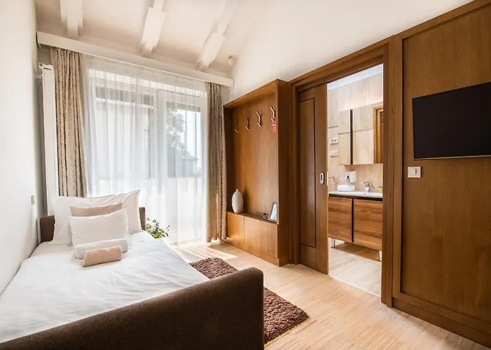Botrytis Borhotel Mád