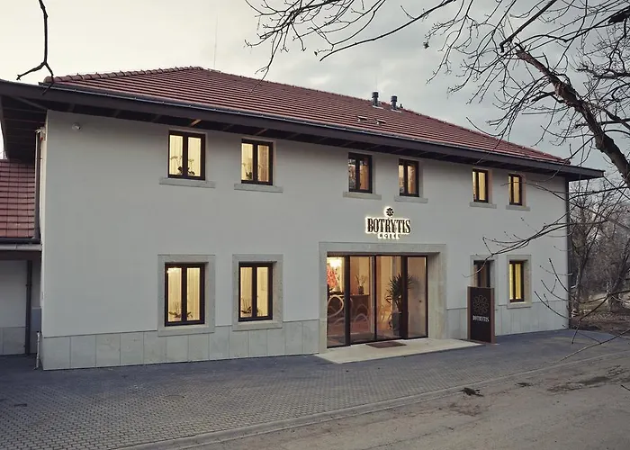 Hotel Botrytis Borhotel 4*